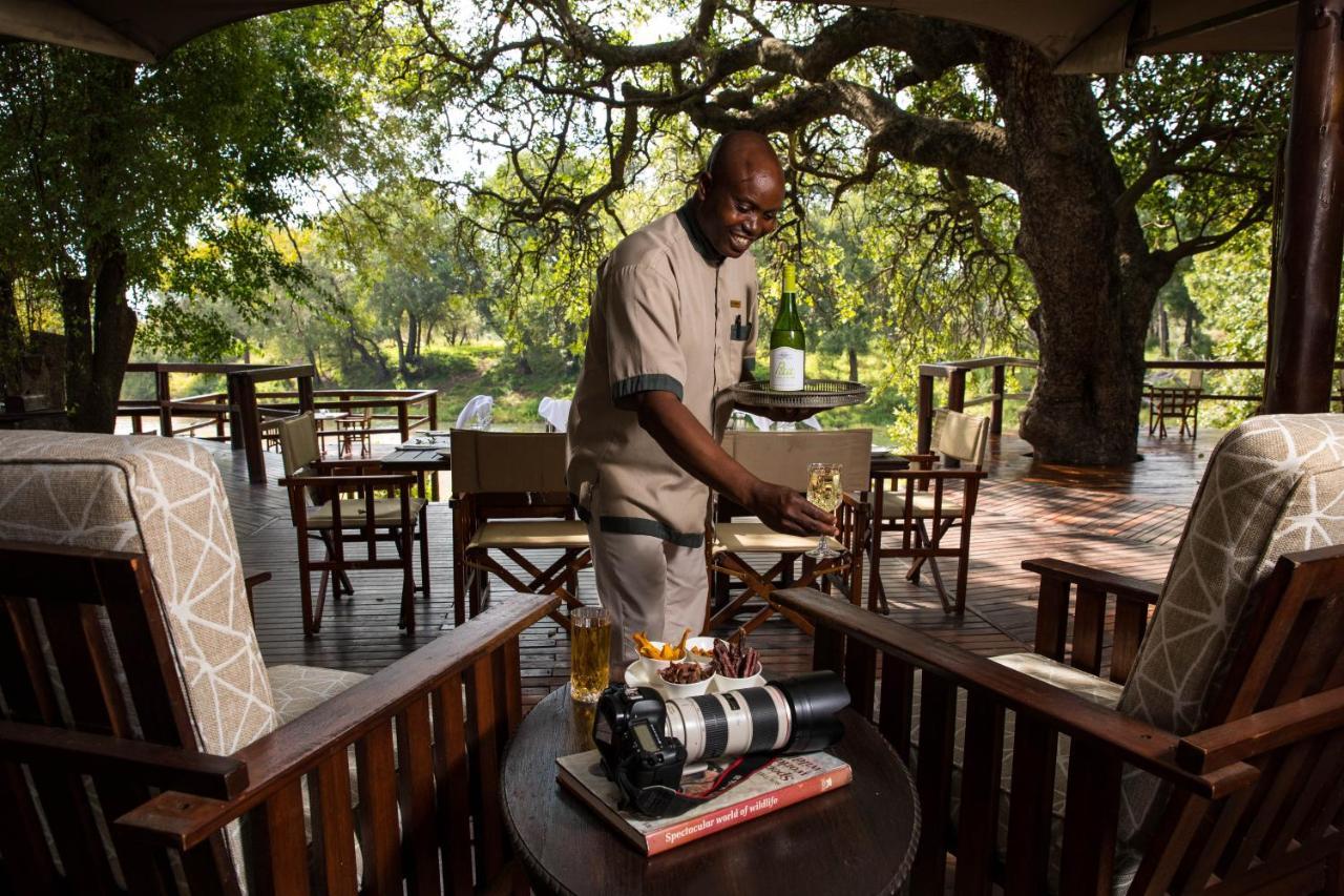 Hamiltons Tented Camp Mluwati Concession Exterior photo