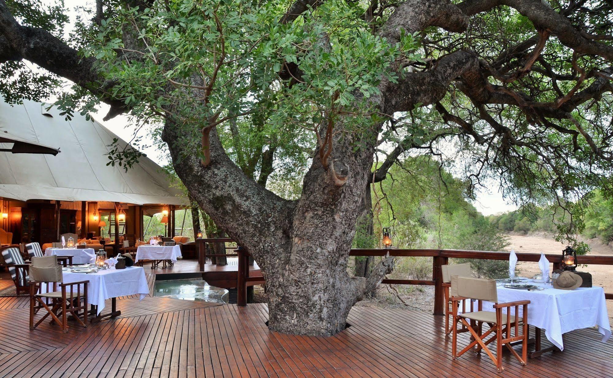 Hamiltons Tented Camp Mluwati Concession Exterior photo