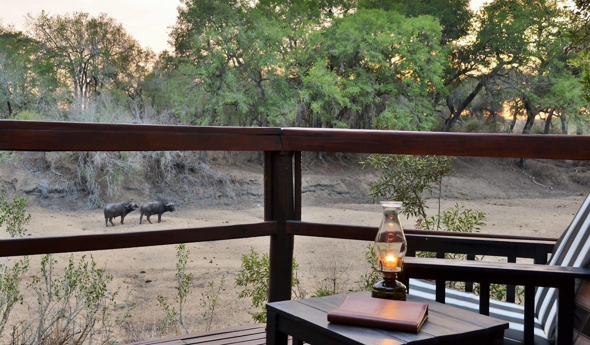 Hamiltons Tented Camp Mluwati Concession Exterior photo